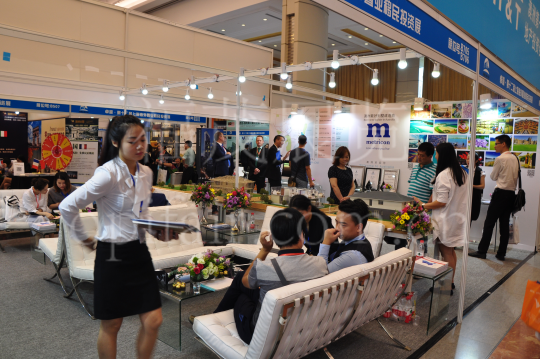 What Makes the EB-5 Immigration Expo Stand Out? In-Depth Policy and Returns Analysis