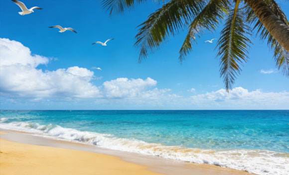 Overseas Tourism Real Estate Investment Risks